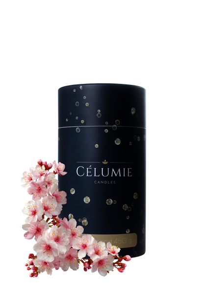 Kerzensand Cherry Blossom